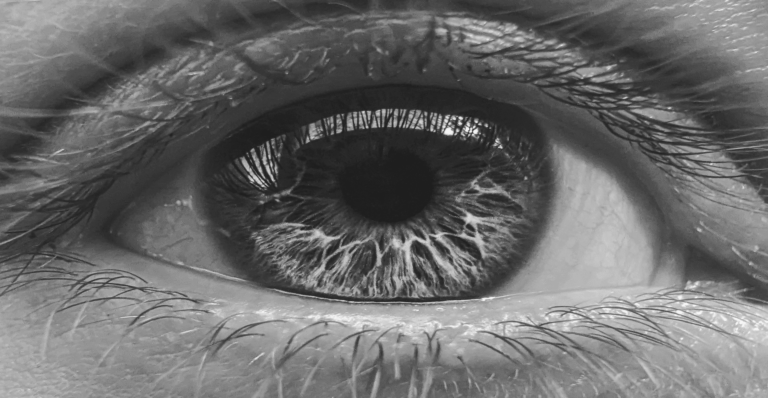 This image of a close-up human eye illustrates our discussion topic: A free audit for your brand.