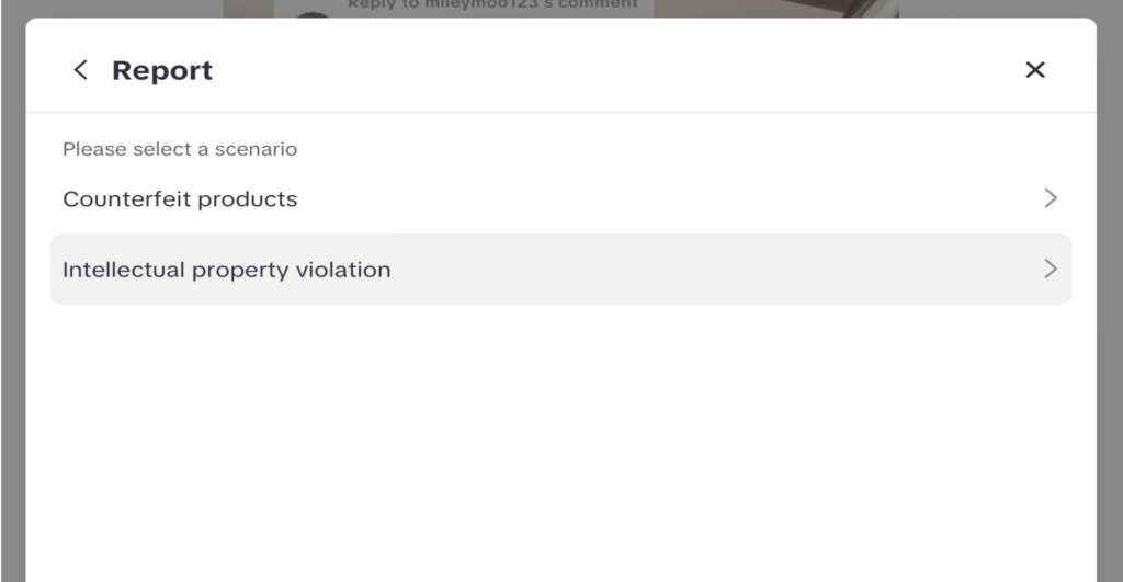 This image of the TikTok reporting screen illustrates our discussion topic: How to remove a fake TikTok account to protect brands, VIPs, and executives.