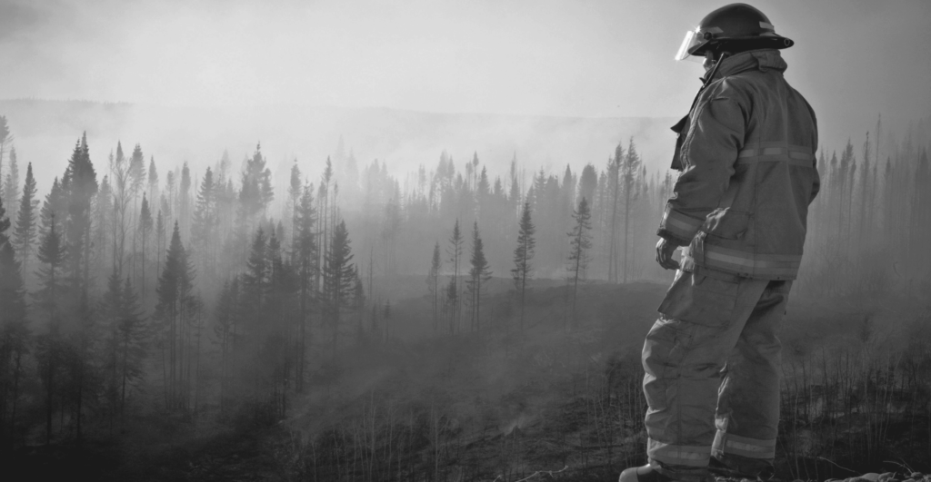 This image of a firefighter standing guard over a forest highlights the importance of  domain portfolio management for growing businesses.