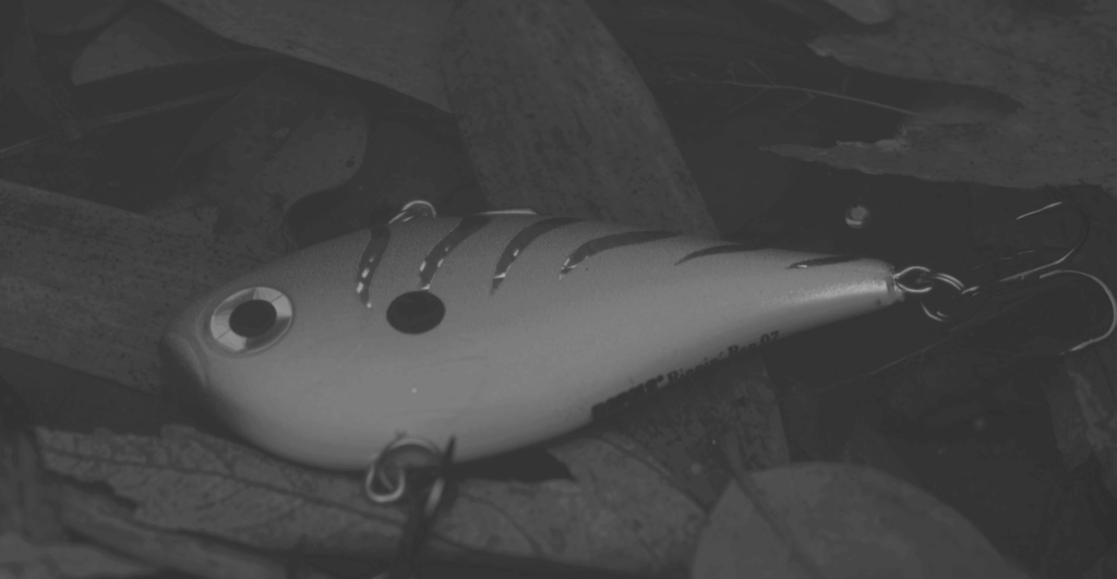 This image of an underwater fishing lure illustrates the phishing aspect of our discussion topic: Fake and infringing ads, and PPC brand protection solutions.