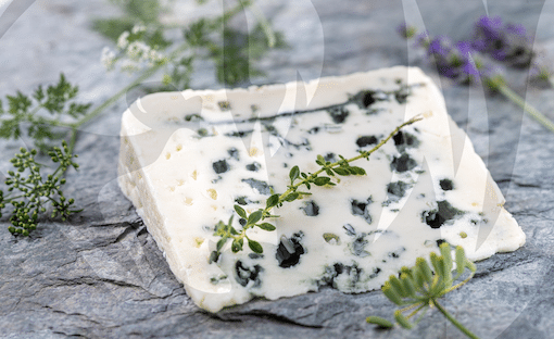 Slice of rockfort cheese