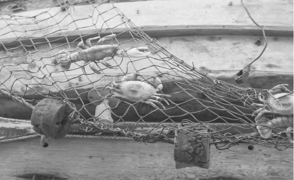 This image of a fishing net illustrates our discussion topic: The differences between phishing and spear phishing, and how organizations can protect themselves online.