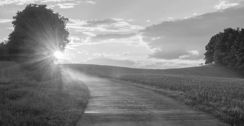 This image of a sunny landscape illustrates our discussion topics: Protecting brands in the light and shade of global turmoil.